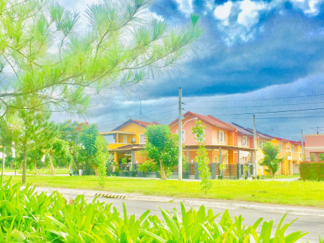 Camella Orani