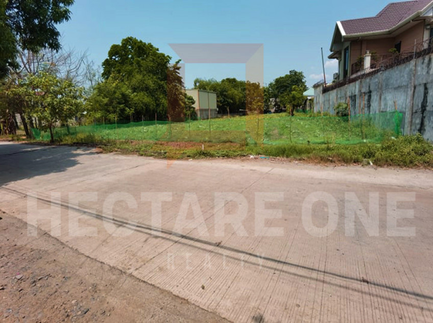 RESIDENTIAL LOT FOR SALE!!| 1,000 SQM | VILLASIS, PANGASINAN.