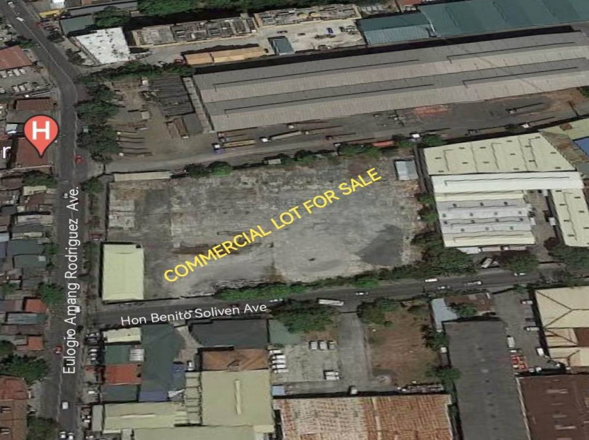 1705 sqm Pasig City Commercial Lot For Sale Near Eastwood City and Bridgetowne