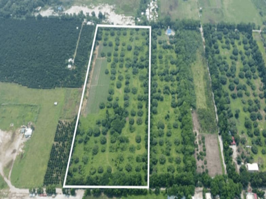 Residential Lot for Sale in Sta. Cecilia Village Capas Capas, Tarlac