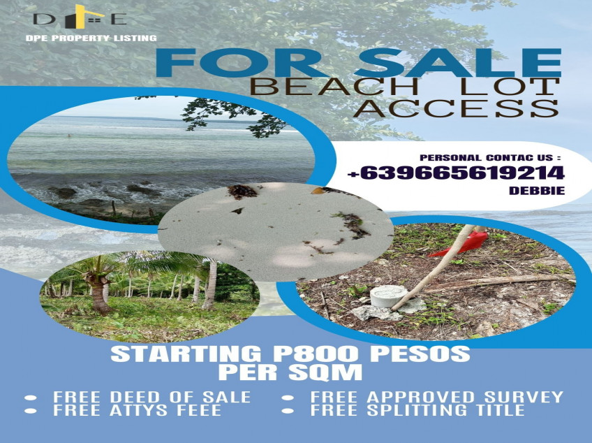 BEACH ACCESS LOT IN MANURIGAO CARAGA DAVAO ORIENTAL