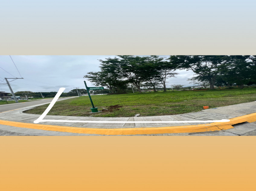 Developer Active Realty Group.