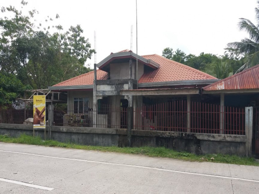 3 Properties for Sale in Bohol: Land, Farm, House
