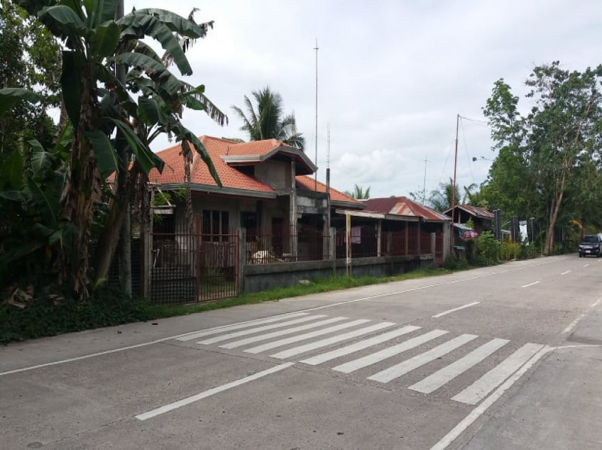 3 Properties for Sale in Bohol: Land, Farm, House