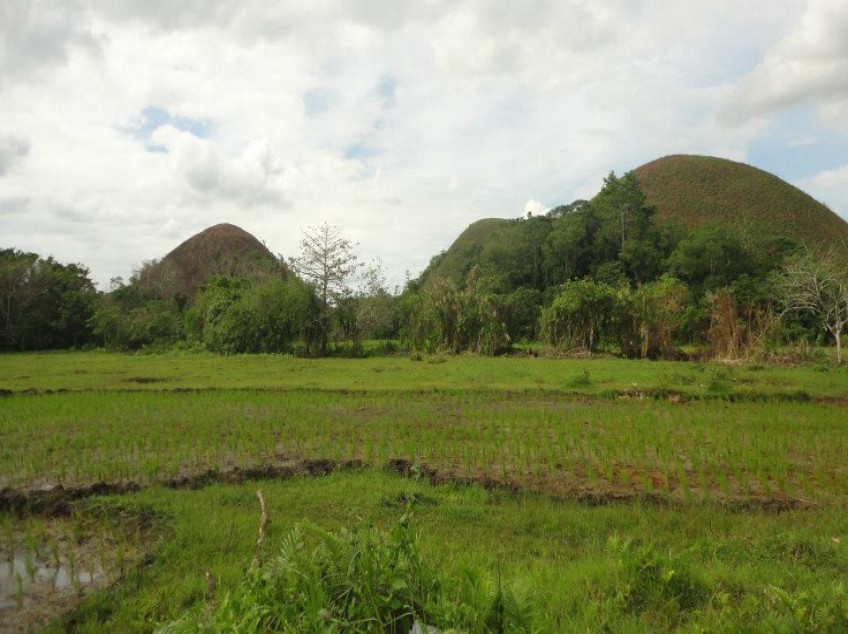 3 Properties for Sale in Bohol: Land, Farm, House