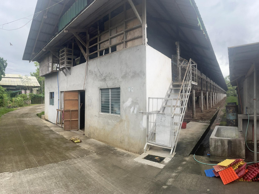 2 Hectare Poultry Farm For Sale in Batangas