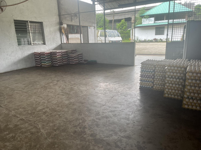 2 Hectare Poultry Farm For Sale in Batangas