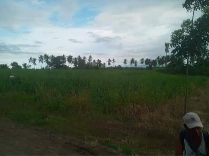 5 Hectares Agricultural Land For Sale