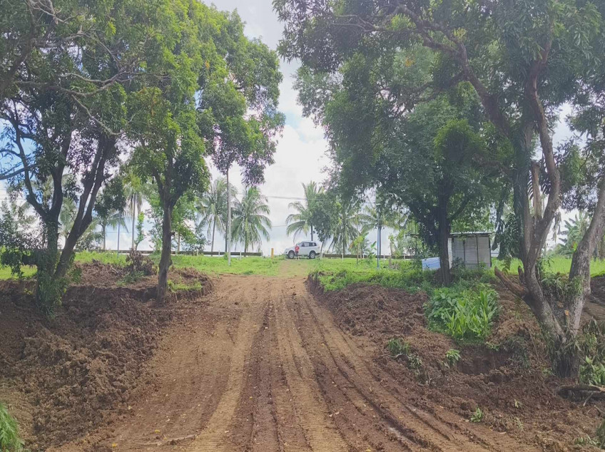 250 sqm Residential Farm Lot For Sale in Caluangan, Magallanes, Cavite