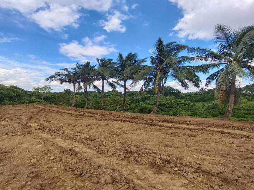 250 sqm Residential Farm Lot For Sale in Caluangan, Magallanes, Cavite