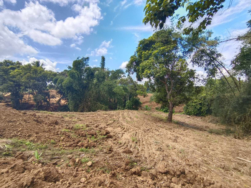 250 sqm Residential Farm Lot For Sale in Caluangan, Magallanes, Cavite