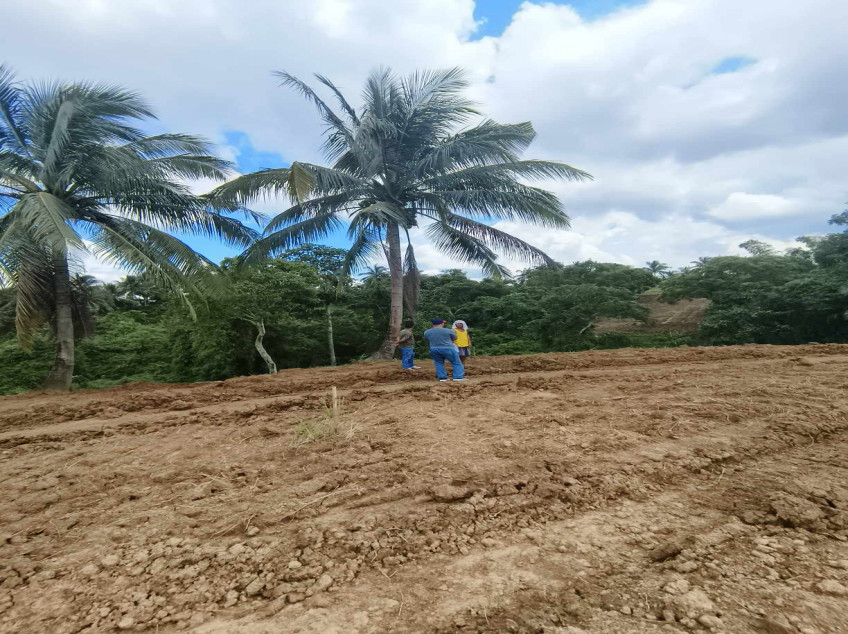 250 sqm Residential Farm Lot For Sale in Caluangan, Magallanes, Cavite