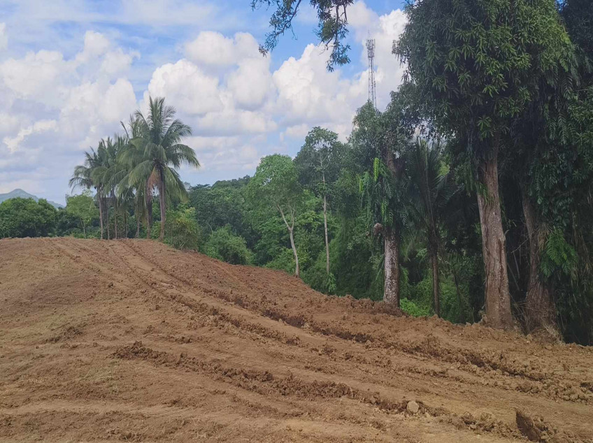 250 sqm Residential Farm Lot For Sale in Caluangan, Magallanes, Cavite