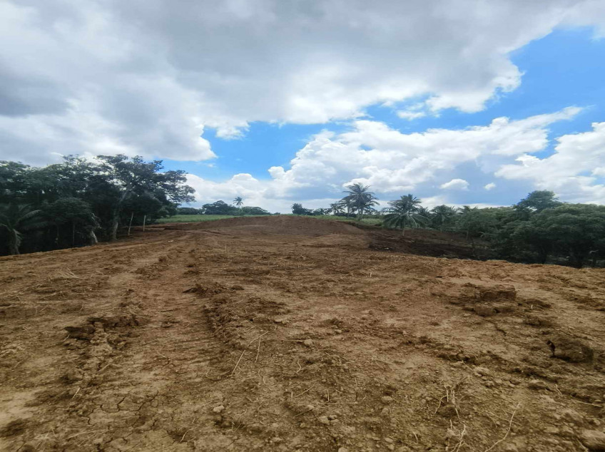 250 sqm Residential Farm Lot For Sale in Caluangan, Magallanes, Cavite