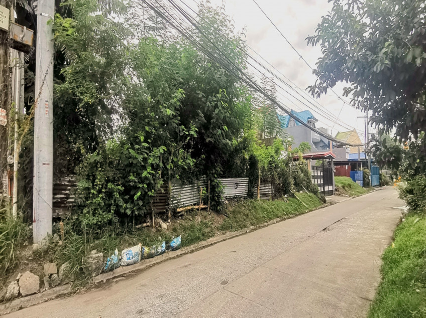 Lot in Manuela Subdivision near Marcos Alvarez