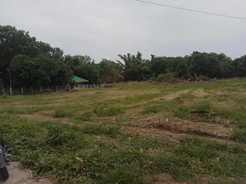 Land Portion For Sale Near Vigan
