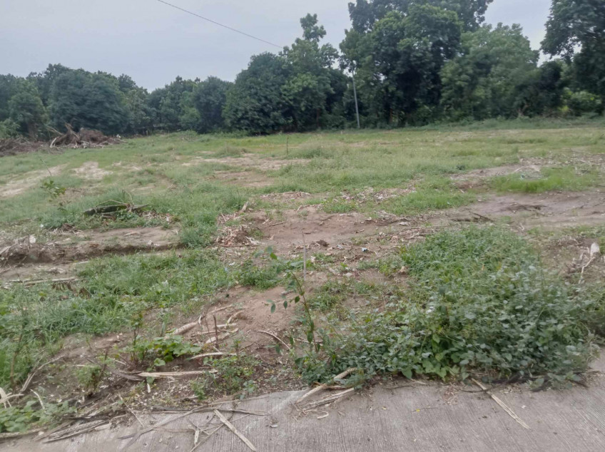 Land Portion For Sale Near Vigan