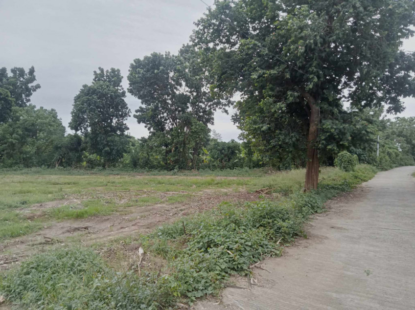 Land Portion For Sale Near Vigan
