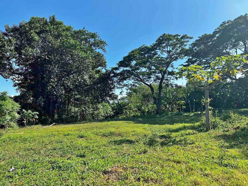 1.8 Hectare Prime Commercial Lot for Sale in Laguna near SLEX