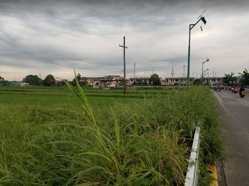 2.7 hectares at Brgy.San Francisco Gen. Trias Cavite