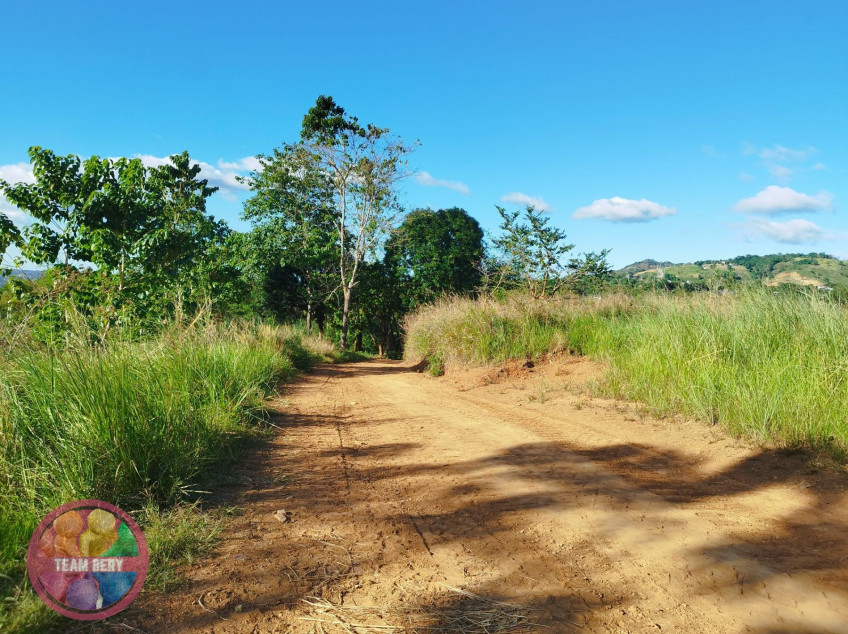 Prime-Residential Lots Along San Mateo, Rizal -The Evergreen Estates