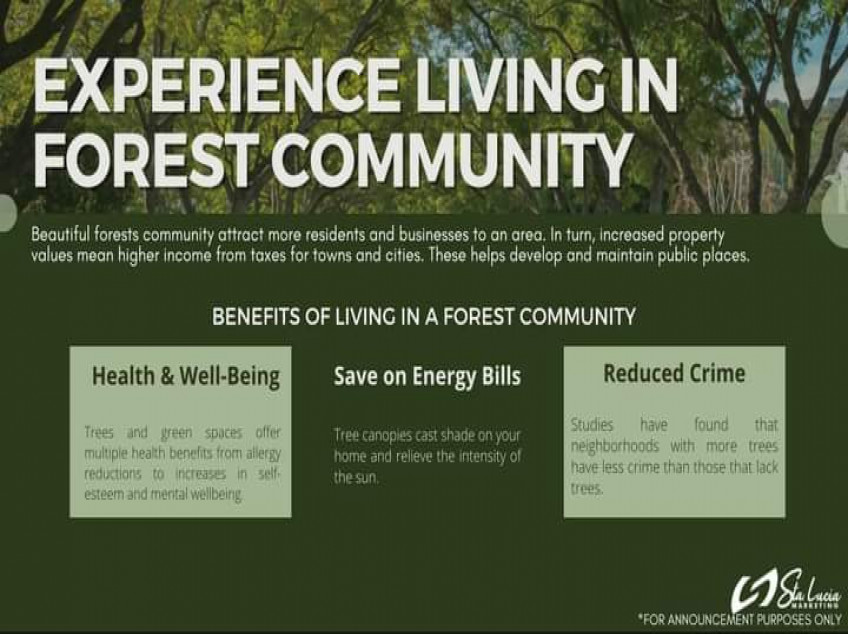 Eco-Residential Lots Along Sampaloc Tanay Highway -The Verterra Highlands