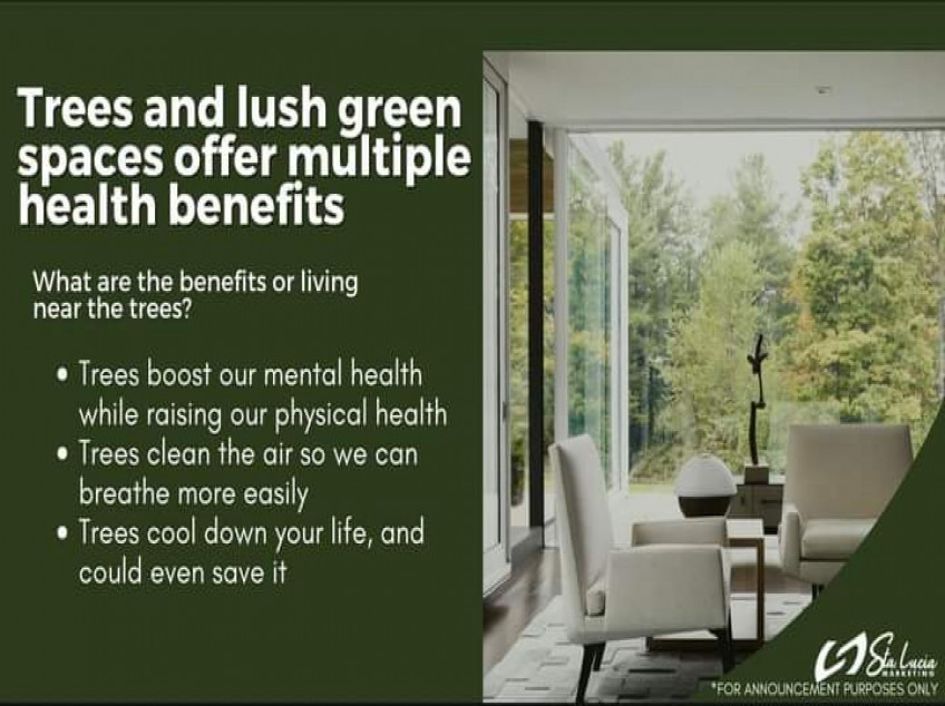 Eco-Residential Lots Along Sampaloc Tanay Highway -The Verterra Highlands