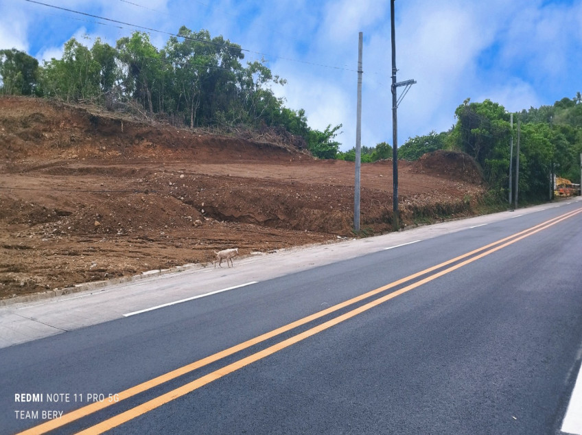 Commercial Lots for sale Along Halayhayin Pililla, Rizal -The Alta Monte