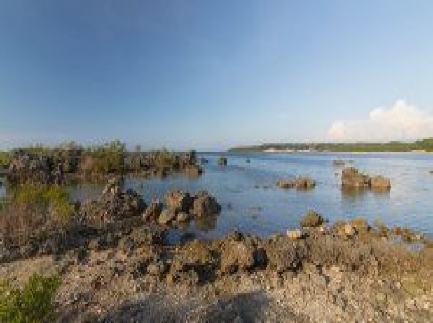 Beach front at Quirino, Bacnotan