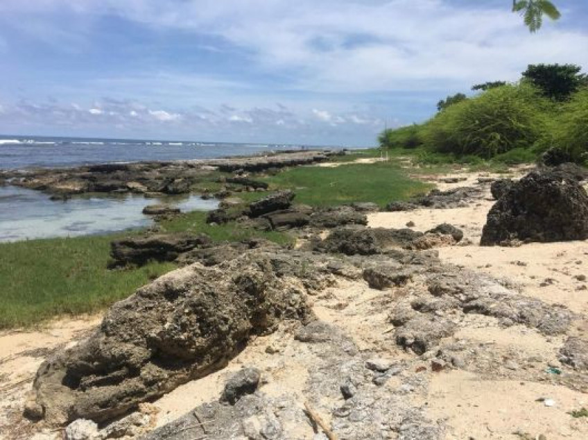 Beach front at Quirino, Bacnotan