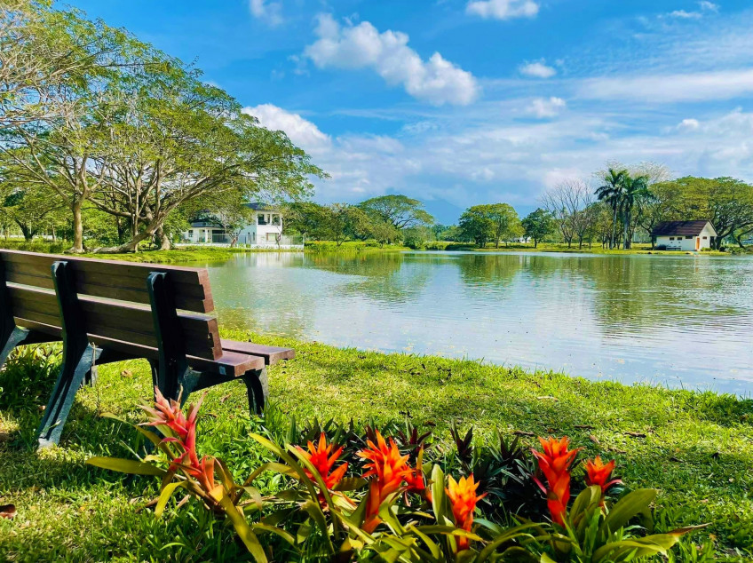 Residential Farm Lot for sale in HACIENDA ESCUDERO Tiaong Quezon