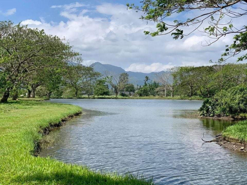 Residential Farm Lot for sale in HACIENDA ESCUDERO Tiaong Quezon