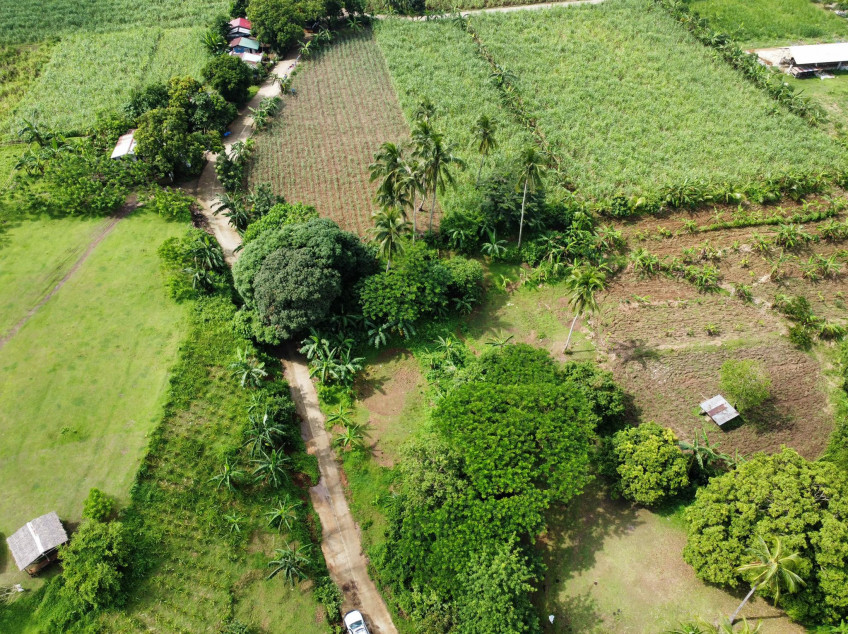 Residential Land in Nasugbu Batangas