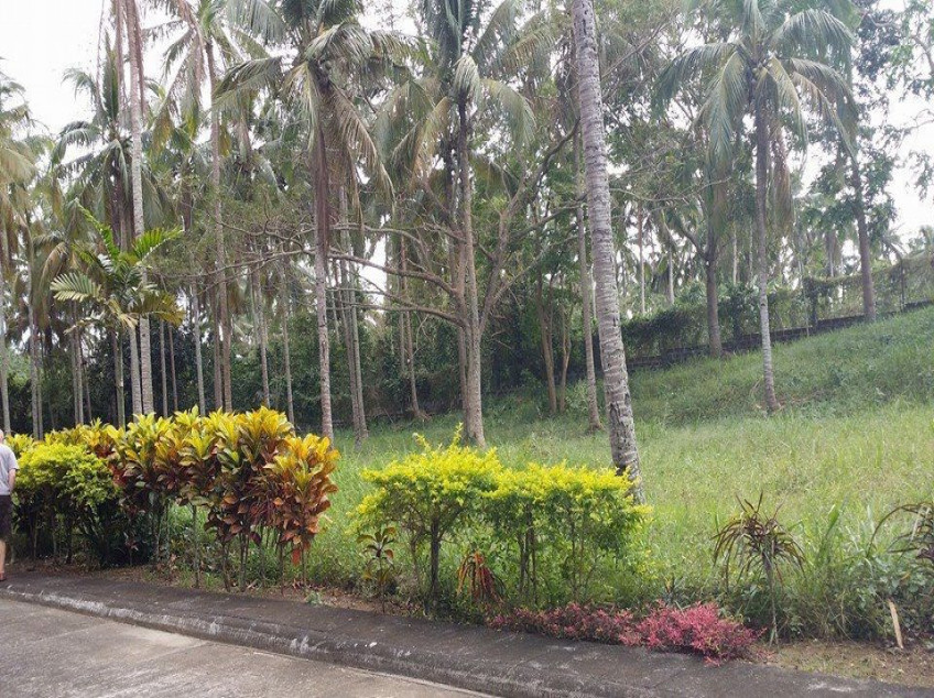 769 Sq meter Plot for sale in Tierra Maria Lipa Batangas