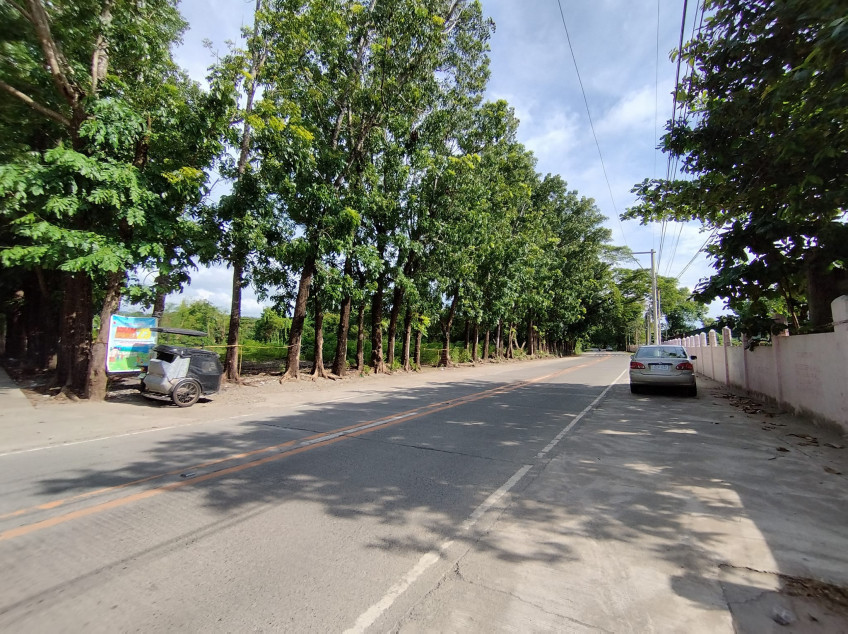 Commercial lot near the Beach at Darigayos Luna, La Union