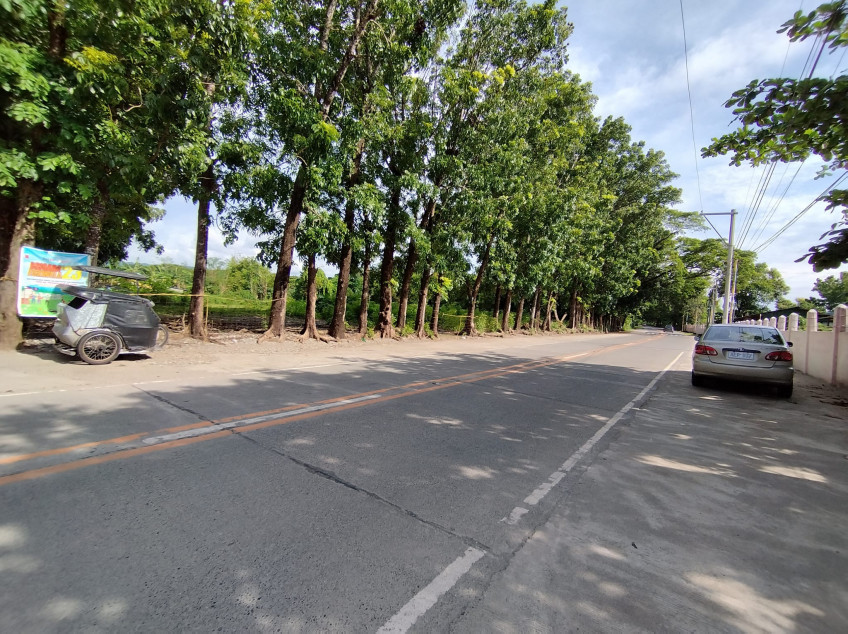 Commercial lot near the Beach at Darigayos Luna, La Union
