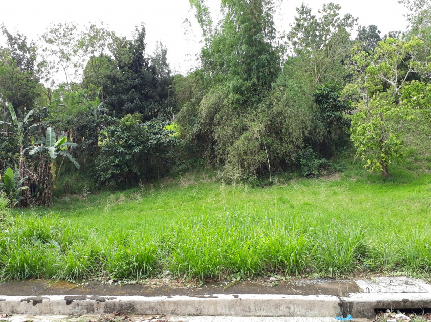 Lot For Sale in Antipolo Rizal at Kingsville Heights