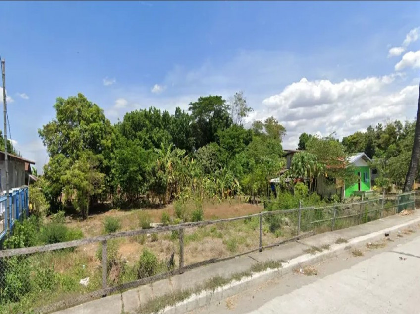 Commercial Lot/Farm Along Camiling Tarlac Highway