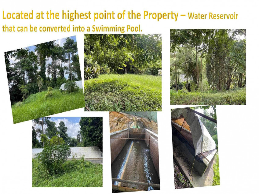 Laguna Farm Lot With Building Improvement