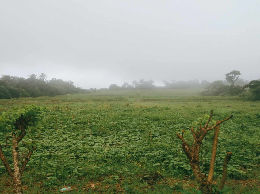 Affordable Residential farm Lot for sale in Cavite