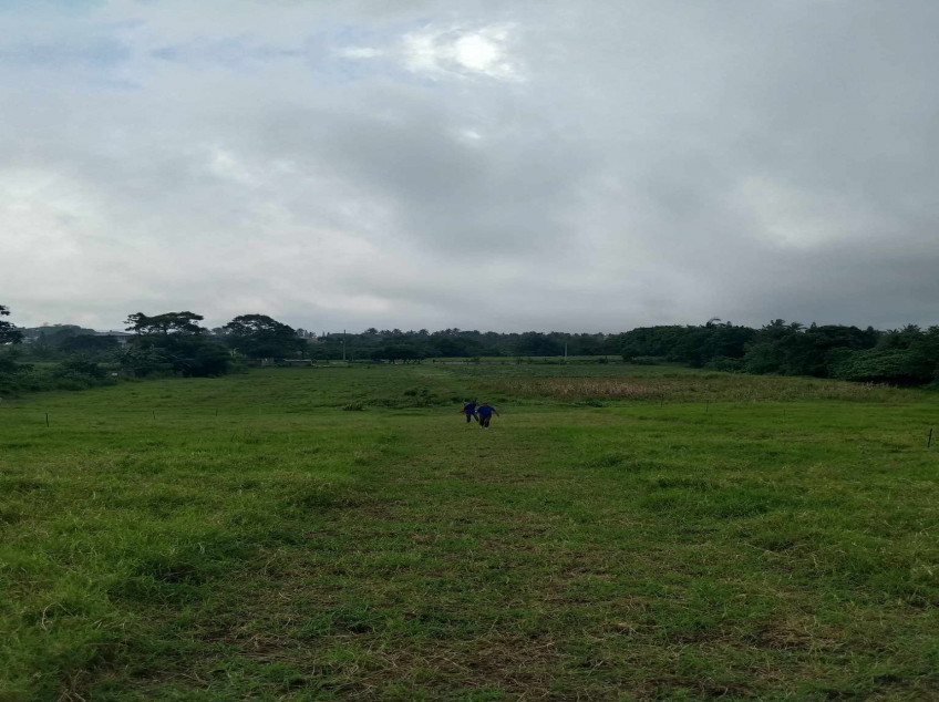 Affordable Residential farm Lot for sale in Cavite