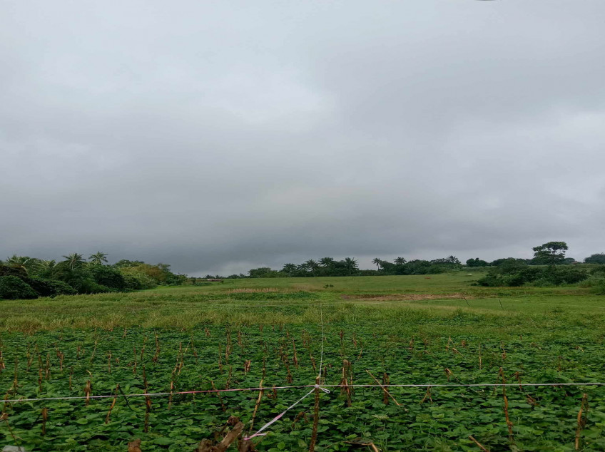 Affordable Residential farm Lot for sale in Cavite