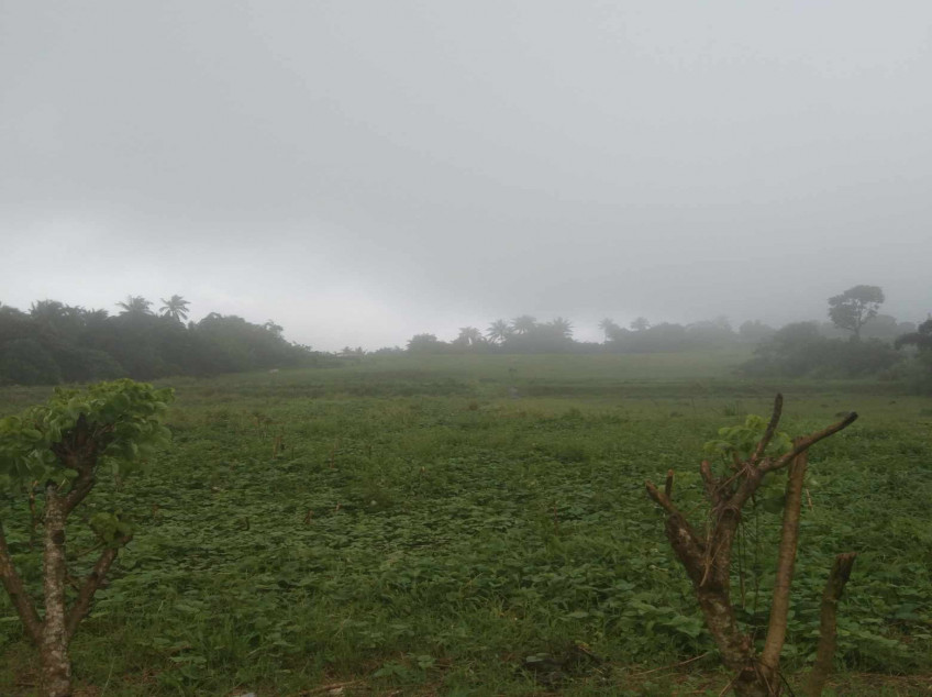 Affordable Residential farm Lot for sale in Cavite