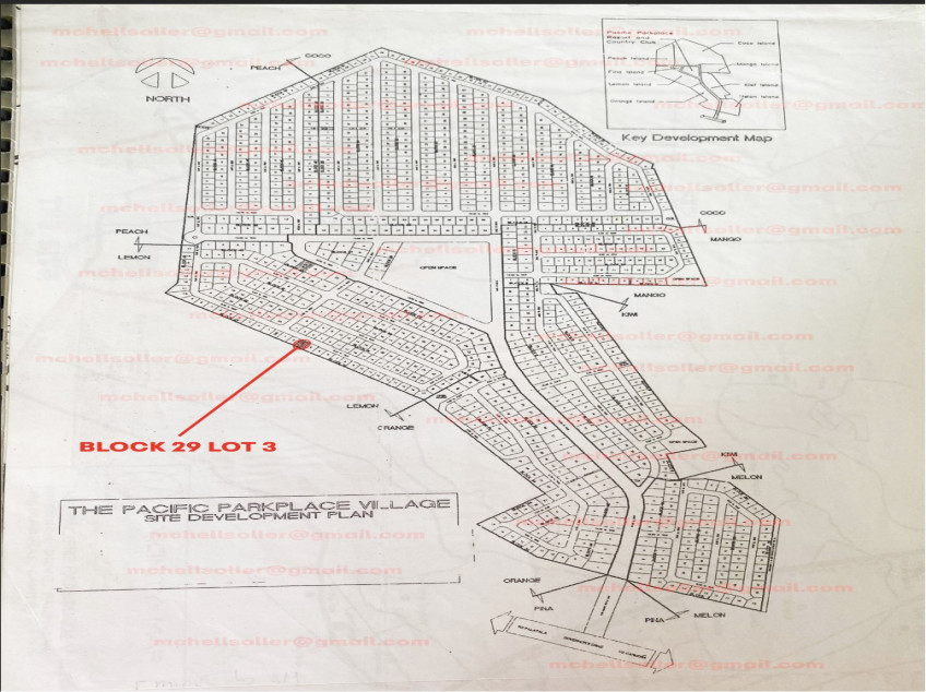 RUSH SALE 120 sqm LOT Pacific Parkplace Village Dasmarinas