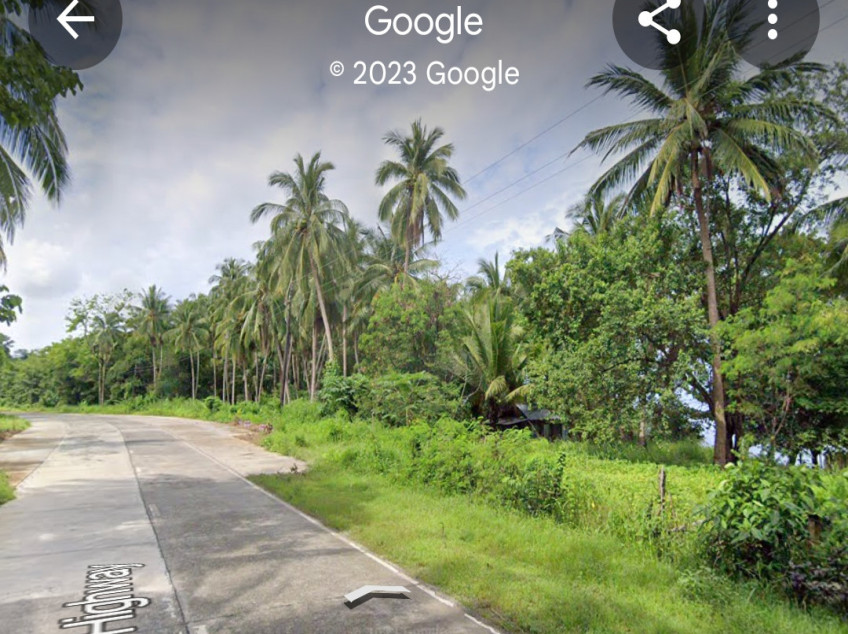 2 - Hectare Beach Front Land for Sale, along National Road and Resorts