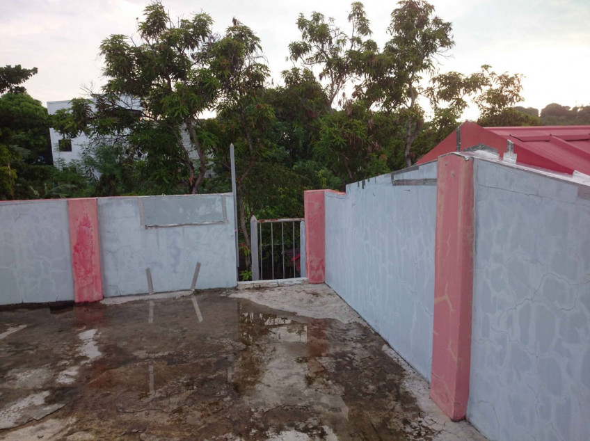 House and Lot 4BR for Sale in Capas, Tarlac near NEW GREEN CITY CLARK