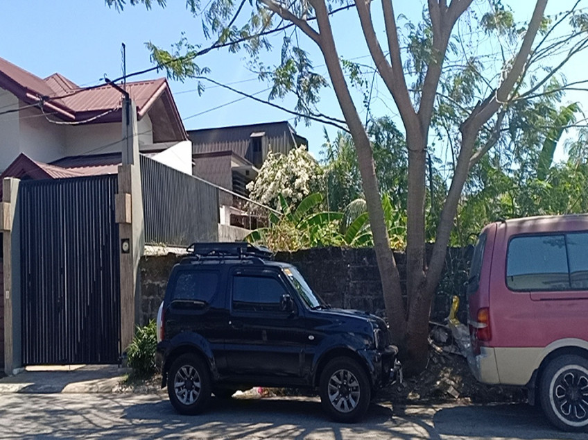 615 sqm Residential Lot For Sale in Multinational Village, Paranaque City
