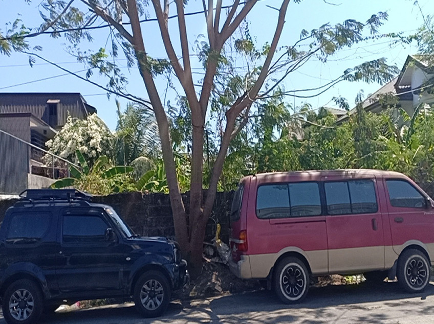 615 sqm Residential Lot For Sale in Multinational Village, Paranaque City