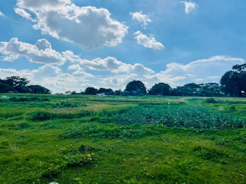 AFFORDABLE LOT IN SAN JACINTO PANGASINAN