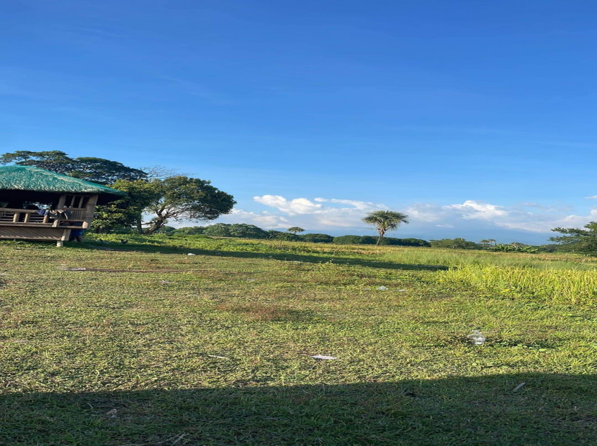 AFFORDABLE LOT IN SAN JACINTO PANGASINAN